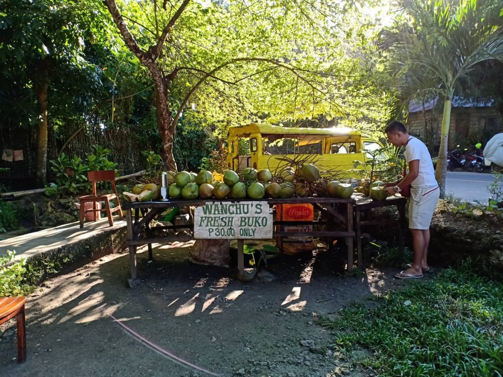 With our Siquijor Island Tour Package, you can have refreshments here in balete tree like Buko.