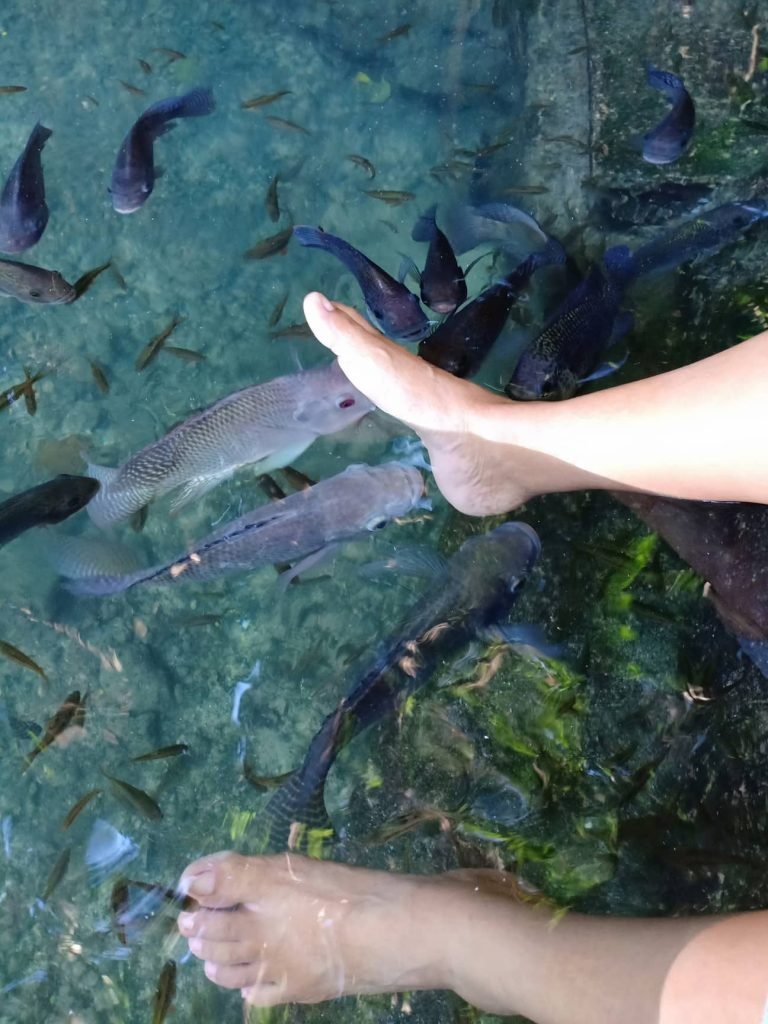 With our Siquijor Island Tour, you will experience foot spa. It tickles when the fishes will bite your feet.