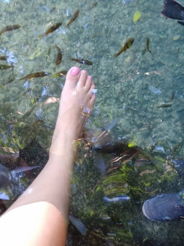 In Balete Tree, you can try foot spa. The picture shows a foot in the water with many fishes are swimming. You can try it with our Siquijor Island Tour Packages.