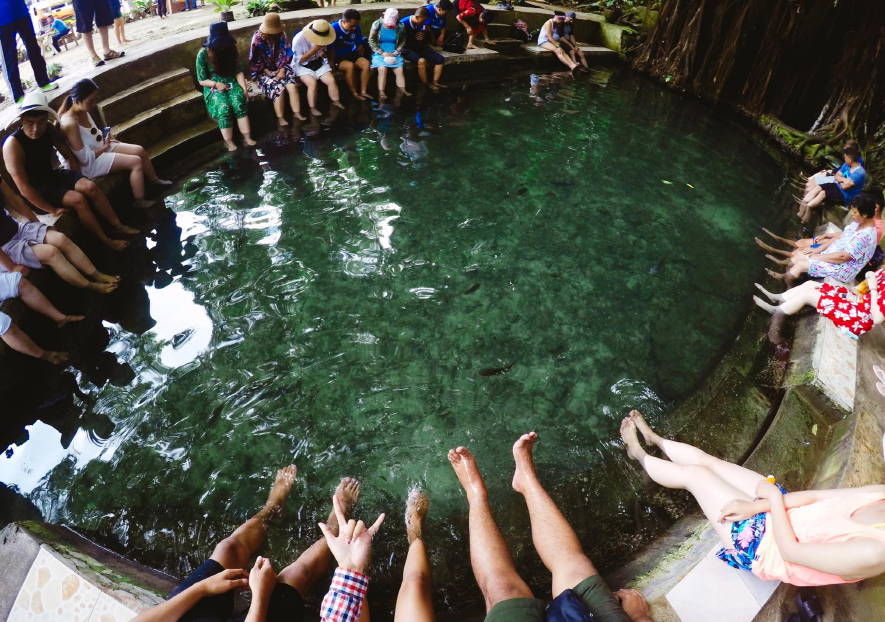 People dip their feet in the water and let the fish eats the dead skin on their feet. They will only experience this with our  2D1N Siquijor tour package
